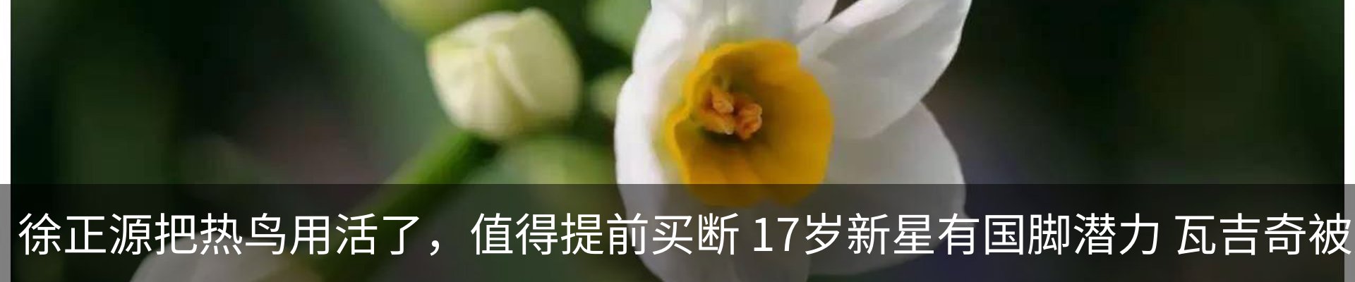 资讯动态